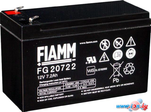 Аккумулятор для ИБП FIAMM FG20722 (12В/7.2 А·ч) в Витебске