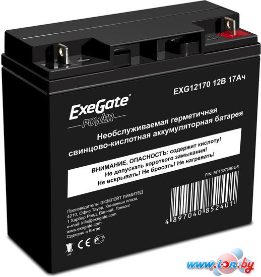 Аккумулятор для ИБП ExeGate Power EXG 12170 (12В/17 А·ч) [EP160756RUS] в Витебске