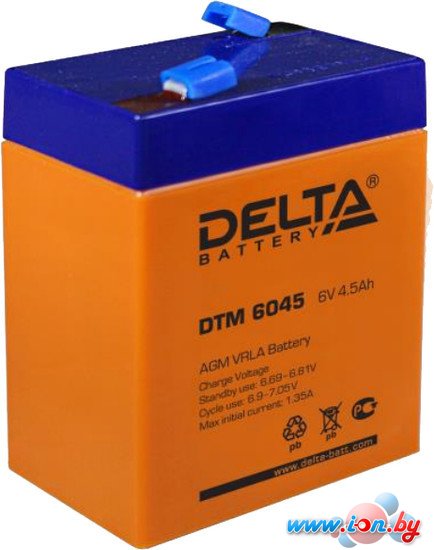 Аккумулятор для ИБП Delta DTM 6045 (6В/4.5 А·ч) в Витебске