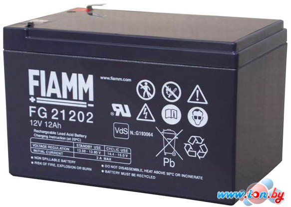 Аккумулятор для ИБП FIAMM FG21202 (12В/12 А·ч) в Витебске