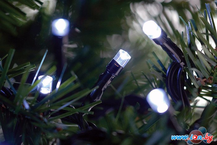 Гирлянда LuMax Твинклайт LED-058-1 в Гродно
