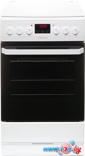 Кухонная плита Hansa FCMW582109 в Могилёве