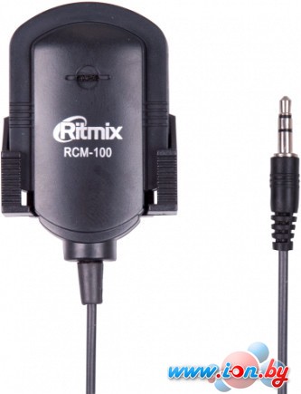Микрофон Ritmix RCM-100 в Бресте