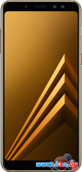 Смартфон Samsung Galaxy A8 Dual SIM (золотистый) в Бресте