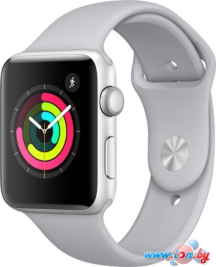 Умные часы Apple Watch Series 3 42 мм (серебристый алюминий/дымчатый) в Гродно
