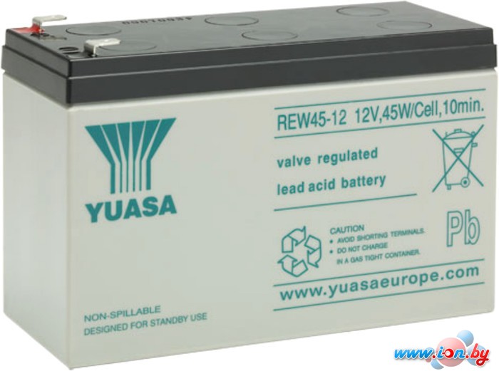 Аккумулятор для ИБП Yuasa REW45-12 (12В/9 А·ч) в Бресте