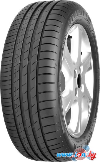 Автомобильные шины Goodyear EfficientGrip Performance 205/65R15 94V в Могилёве