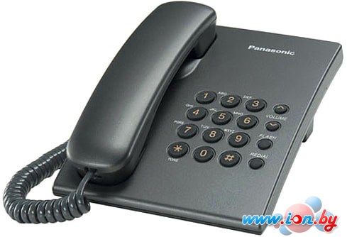 Проводной телефон Panasonic KX-TS2350RUT (титановый) в Витебске