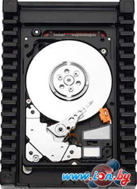 Жесткий диск WD VelociRaptor 150GB (WD1500HLFS) в Могилёве