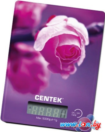 Кухонные весы CENTEK CT-2459 в Витебске