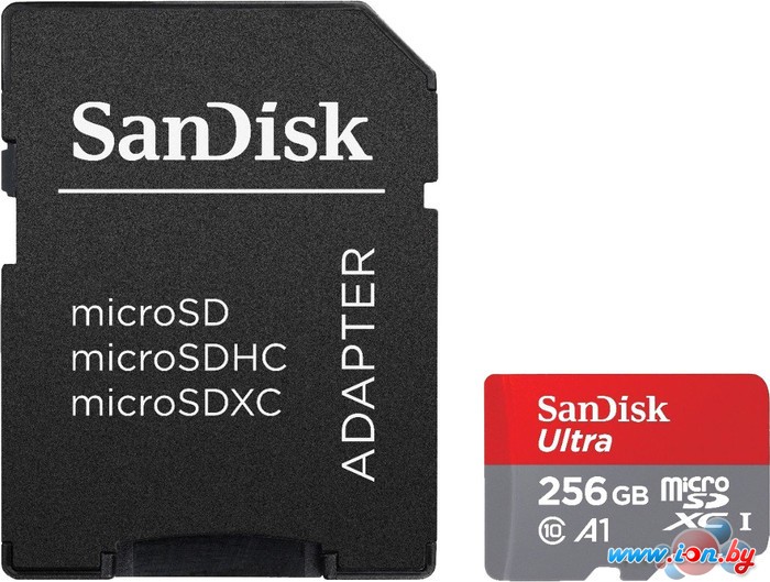Карта памяти SanDisk microSDXC SDSQUAR-256G-GN6MA 256GB (с адаптером) в Бресте