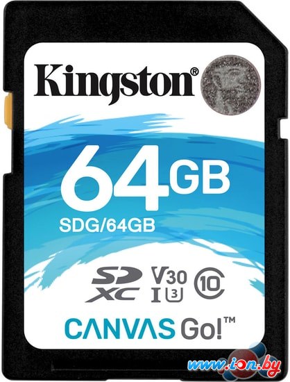 Карта памяти Kingston Canvas Go! SDG/64GB SDXC 64GB в Могилёве