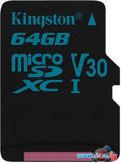 Карта памяти Kingston Canvas Go! SDCG2/64GBSP microSDXC 64GB в Могилёве