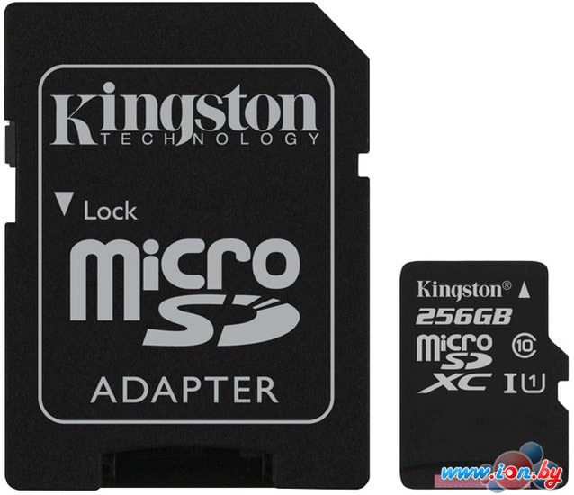 Карта памяти Kingston Canvas Select SDCS/256GB microSDXC 256GB (с адаптером) в Минске