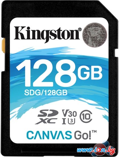 Карта памяти Kingston Canvas Go! SDG/128GB SDXC 128GB в Бресте