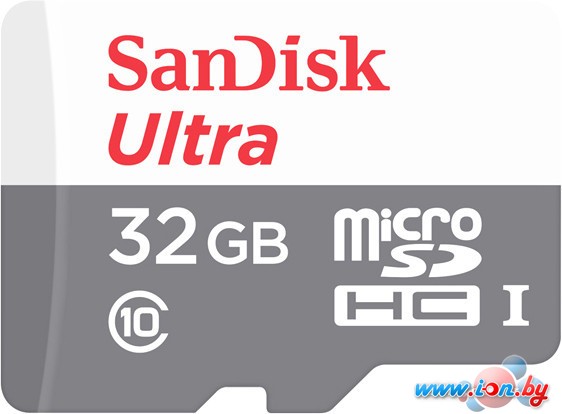 Карта памяти SanDisk Ultra SDSQUNS-032G-GN3MN microSDHC 32GB в Бресте