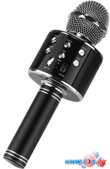 Микрофон Wise WS-858 S (черный) в Бресте