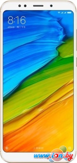 Смартфон Xiaomi Redmi 5 3GB/32GB (золотистый) в Бресте