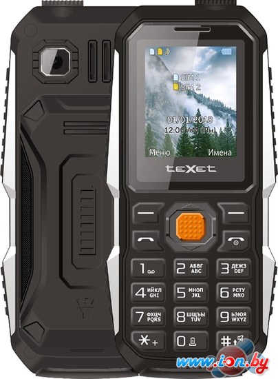 Мобильный телефон TeXet TM-D429 (черный) в Бресте