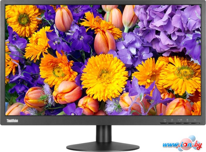 Монитор Lenovo ThinkVision E24-10 в Могилёве