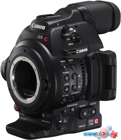 Видеокамера Canon EOS C100 Mark II в Могилёве