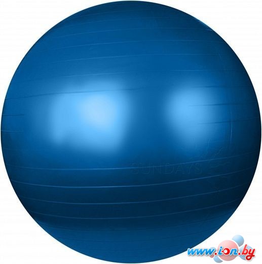 Мяч Sundays Fitness IR97402-65 (голубой) в Гомеле