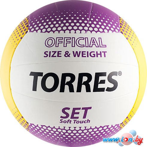 Мяч Torres Set (5 размер) [V30045] в Могилёве