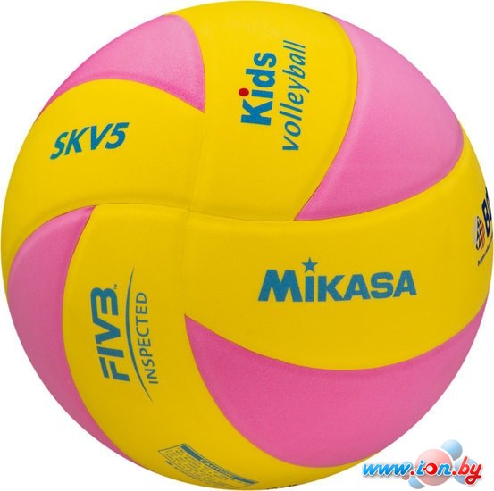 Мяч Mikasa SKV5-YP в Бресте