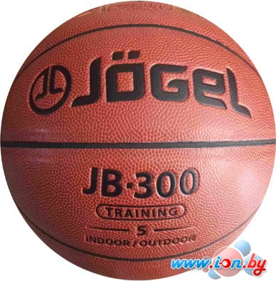Мяч Jogel JB-300 (размер 5) в Гродно