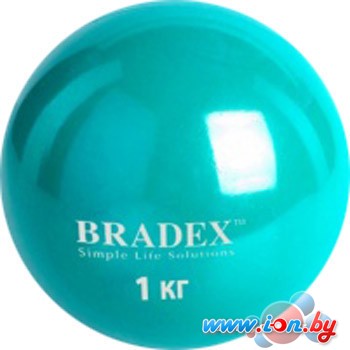 Мяч Bradex SF 0256 в Бресте