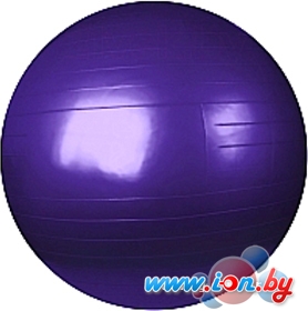 Мяч Sundays Fitness IR97402-75 (фиолетовый) в Бресте