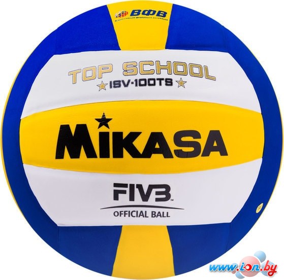 Мяч Mikasa ISV-100TS (5 размер) в Гомеле