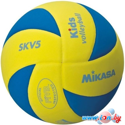 Мяч Mikasa SKV5-YBL в Бресте
