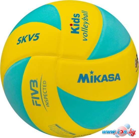Мяч Mikasa SKV5-YLG в Бресте