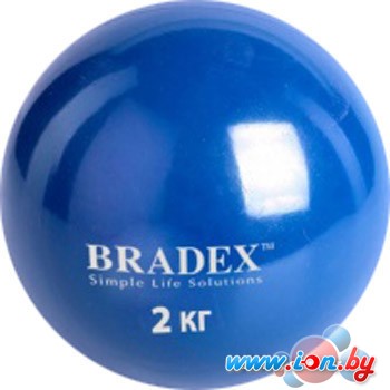 Мяч Bradex SF 0257 в Гомеле