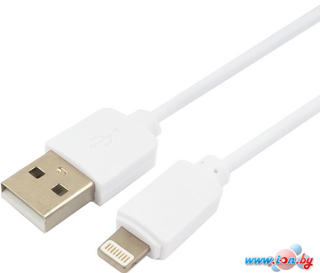 Кабель Гарнизон GCC-USB2-AP2-1M-W 1.0m в Гомеле