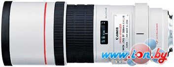 Объектив Canon EF 300mm f/4L IS USM в Гомеле