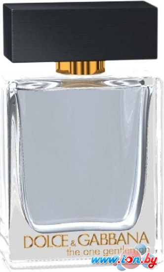 Dolce&Gabbana The One Gentleman EdT (100 мл) в Могилёве