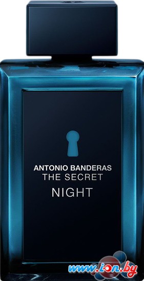 Antonio Banderas The Secret Night EdT (100 мл) в Могилёве
