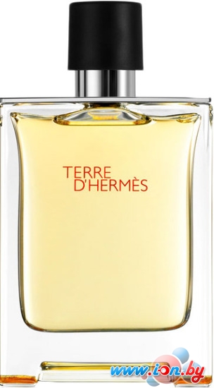 Hermes Terre dHermes EdT (100 мл) в Витебске