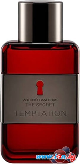 Antonio Banderas The Secret Temptation for men EdT (100 мл) в Бресте