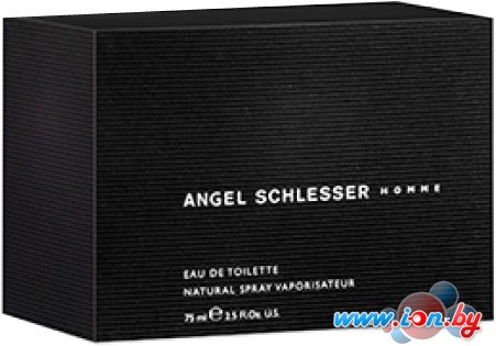 Angel Schlesser Homme edT (75 мл) в Витебске