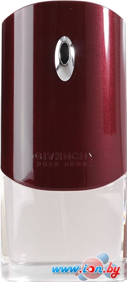 Givenchy Pour Homme EdT (100 мл) в Могилёве
