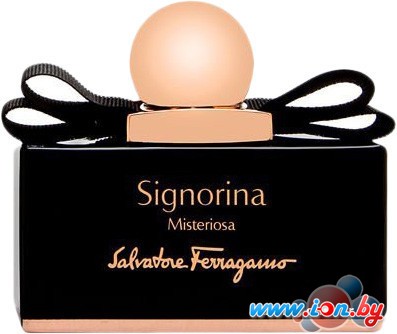 Salvatore Ferragamo Signorina Misteriosa EdP (100 мл) в Витебске