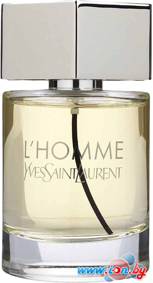 YSL LHomme EdT (100 мл) в Гомеле