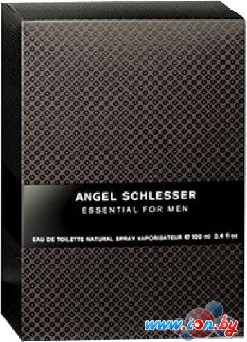 Angel Schlesser Essential for men EdT (100 мл) в Витебске