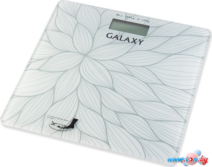 Напольные весы Galaxy GL4807 в Бресте