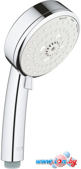 Душевая лейка Grohe New Tempesta Cosmopolitan 100 27574002 в Могилёве