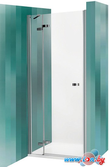 Душевая дверь Roltechnik Elegant Line GDNL1/1200 (левая) [134-120000L-00-02] в Бресте