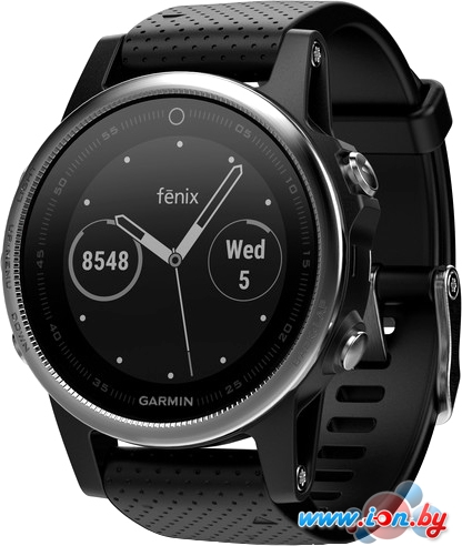 Умные часы Garmin Fenix 5S 42mm (серебристый/черный) [010-01685-02] в Бресте